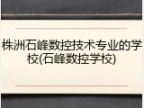 株洲石峰数控技术专业的学校(石峰数控学校)