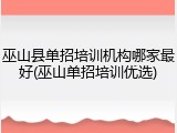 巫山县单招培训机构哪家最好(巫山单招培训优选)