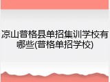 凉山普格县单招集训学校有哪些(普格单招学校)