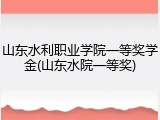 山东水利职业学院一等奖学金(山东水院一等奖)