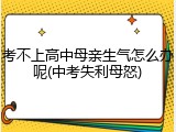 考不上高中母亲生气怎么办呢(中考失利母怒)