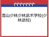 嵩山少林少林武术学校(少林武校)