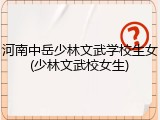 河南中岳少林文武学校生女(少林文武校女生)