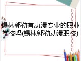 锡林郭勒有动漫专业的职业学校吗(锡林郭勒动漫职校)