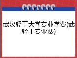 武汉轻工大学专业学费(武轻工专业费)