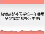 盐城盐都补习学校一年费用多少钱(盐都补习年费)