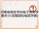 河南省商务学校电子商务学费多少(河南商校电商学费)