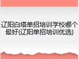 辽阳白塔单招培训学校哪个最好(辽阳单招培训优选)
