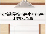 dj培训学校乌鲁木齐(乌鲁木齐DJ培训)