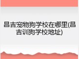 昌吉宠物狗学校在哪里(昌吉训狗学校地址)