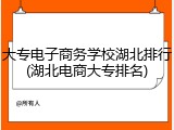大专电子商务学校湖北排行(湖北电商大专排名)