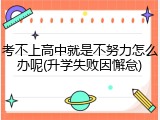 考不上高中就是不努力怎么办呢(升学失败因懈怠)