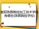 衡阳珠晖数控加工技术学校有哪些(珠晖数控学校)