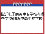 临沂电子商务中专学校有哪些学校(临沂电商中专学校)
