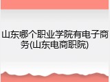 山东哪个职业学院有电子商务(山东电商职院)