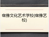 宿豫文化艺术学校(宿豫艺校)