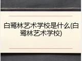 白鹭林艺术学校是什么(白鹭林艺术学校)