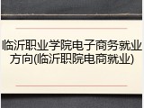临沂职业学院电子商务就业方向(临沂职院电商就业)