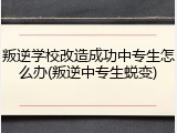 叛逆学校改造成功中专生怎么办(叛逆中专生蜕变)
