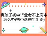 男孩子初中毕业考不上高中怎么办(初中落榜生出路)