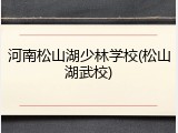 河南松山湖少林学校(松山湖武校)