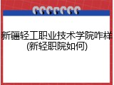 新疆轻工职业技术学院咋样(新轻职院如何)