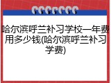 哈尔滨呼兰补习学校一年费用多少钱(哈尔滨呼兰补习学费)