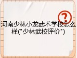 河南少林小龙武术学校怎么样("少林武校评价")