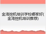 金湾挖机培训学校哪家好(金湾挖机培训推荐)