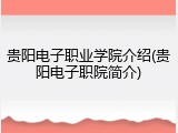 贵阳电子职业学院介绍(贵阳电子职院简介)