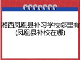 湘西凤凰县补习学校哪里有(凤凰县补校在哪)