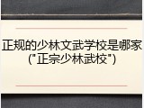 正规的少林文武学校是哪家("正宗少林武校")