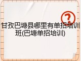 甘孜巴塘县哪里有单招培训班(巴塘单招培训)