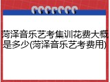菏泽音乐艺考集训花费大概是多少(菏泽音乐艺考费用)