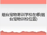 烟台宠物寄训学校在哪(烟台宠物训校位置)
