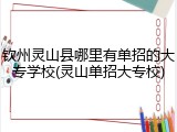 钦州灵山县哪里有单招的大专学校(灵山单招大专校)