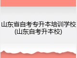 山东省自考专升本培训学校(山东自考升本校)