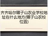 齐齐哈尔碾子山农业学校地址在什么地方(碾子山农校位置)