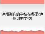 泸州训狗的学校在哪里(泸州训狗学校)