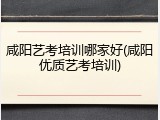 咸阳艺考培训哪家好(咸阳优质艺考培训)
