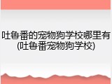 吐鲁番的宠物狗学校哪里有(吐鲁番宠物狗学校)