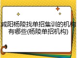 咸阳杨陵找单招集训的机构有哪些(杨陵单招机构)