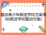 整治青少年叛逆学校方案策划(叛逆学校整治方案)