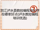怒江泸水县数控编程培训学校哪家好点(泸水数控编程培训优选)