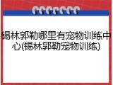 锡林郭勒哪里有宠物训练中心(锡林郭勒宠物训练)