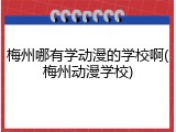 梅州哪有学动漫的学校啊(梅州动漫学校)
