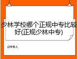 少林学校哪个正规中专比较好(正规少林中专)