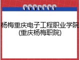 杨梅重庆电子工程职业学院(重庆杨梅职院)