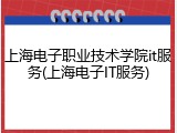 上海电子职业技术学院it服务(上海电子IT服务)