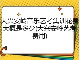 大兴安岭音乐艺考集训花费大概是多少(大兴安岭艺考费用)